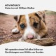 Ein braunes und weißes Welpen legt seinen Kopf auf einen Stock. Text: "#GIVINGBACK Gutes tun mit William Walker. Wir spenden an Hunde."
