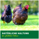 Ein bunt geschecktes Huhn läuft auf grünem Gras, mit einem anderen Huhn unscharf im Hintergrund. Der Text darunter sagt "NATÜRLICHE HALTUNG für glückliche Hühner."