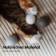 Die Pfote einer Katze auf einer strukturierten Oberfläche neben grauen, weißen und hellgrauen Filzkugeln. Text: "Natürliches Material" und "Katzen lieben Wollfilz."