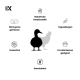 Enten- und Hühnersilhouetten mit Symbolen: Natürliche Inhaltsstoffe, Hypoallergen, Getreidefrei, Zuckerfrei, Für alle Rassen; FRESSX.