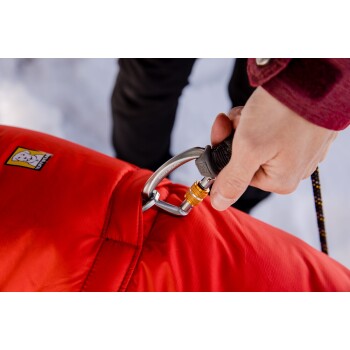 Eine Person clippt einen Karabiner an eine leuchtend rote Hundejacke mit Logo, vor einem schneebedeckten Hintergrund.