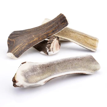 halbiertes Geweih M ca. 80-120g Eine Sammlung von vier natürlichen Hundekau-Knochen, die in Größe und Form variieren, mit einer Mischung aus dunklen und hellen Farben, vor einem weißen Hintergrund.