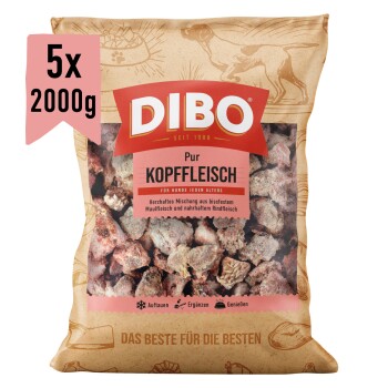 DIBO Kopffleisch Hundefutterpaket, 2000 g, mit gemischtem Kopf Fleisch. Text hebt ausgewogene Ernährung für gesunde Knochen hervor.