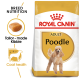 Royal Canin Adult Poodle dog food bag featuring a poodle illustration, with text highlighting breed nutrition and coat health benefits.