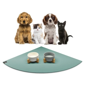 Eine Gruppe von vier Haustieren, darunter zwei Hunde, eine Katze und ein schwarzes Kätzchen, sitzt vor einer türkisfarbenen Fressmatte mit zwei stilvollen Futternäpfen.