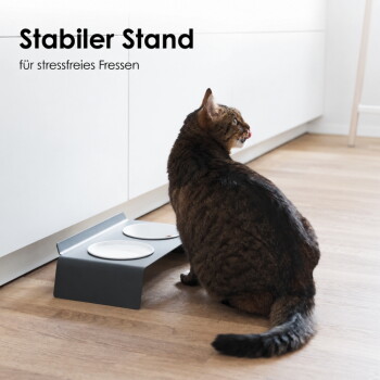 Getigerte Katze neben grauem erhöhtem Doppelnapf-Futterspender; sichtbarer Text: 'Stabiler Stand' und 'für stressfreies Fressen'.