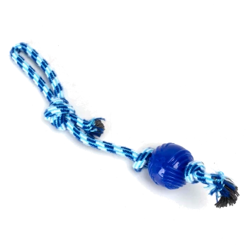 Blauer Gummiball, der an einem geflochtenen blau-weißen Seil befestigt ist, entworfen als Spielzeug für Hunde.