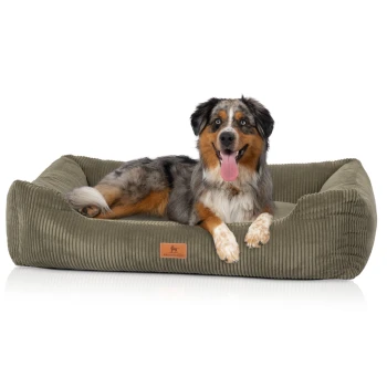 Ein glücklicher Australian Shepherd, der auf einem plüschigen, olivgrünen Hundebett mit einem strukturierten Cord-Design und einem Lederetikett entspannt.