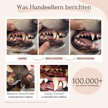 Dose '04 Dental Pulver' Haustierzahn‑Pulver mit Holzschaufel, die Pulver schüttet; Kokosstücke und Kräuter auf blauem Hintergrund.