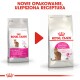 Dwie torby karmy dla kotów Royal Canin oznaczone "EXIGENT" i "SAVOUR Exigent," z czerwoną strzałką wskazującą na przejście. Tekst powyżej brzmi "NOWE OPAKOWANIE."