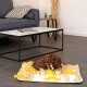Ein kleiner brauner Hund schnüffelt an einer bunten interaktiven Spielmatte mit gelben und beigen Stoffstücken, die in einem modernen Wohnzimmer platziert ist.