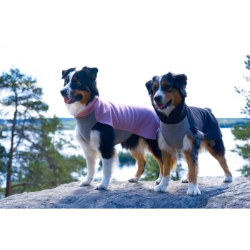 Zwei Hunde stehen auf einem Felsen am See, einer trägt ein pink-graues Outfit, der andere ein schwarz-graues Outfit.