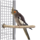 Ein Nymphensittich sitzt auf einem Holzstift in einem Vogelkäfig, mit grauem Körper, orangefarbigen Wangenflecken und einer markanten Haube.