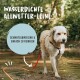Wasserdichte Allwetter-Leine, schmutzabweisend & einfach zu reinigen, mit einem Hund, der im Wasser steht.