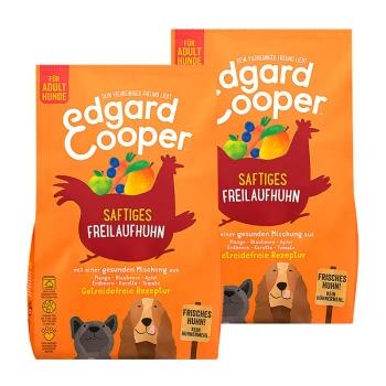 Zwei Säcke Edgard Cooper Hundefutter mit einem orangefarbenen Design, Cartoon-Huhn, Früchten und dem Text "Saftiges Freilaufhuhn" und "Für Adult Hunde."