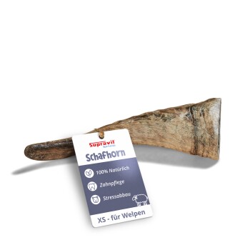 Ein natürlicher, länglicher Hundekauartikel aus einem Horn, mit einer glatten, strukturierten Oberfläche und einer spitzen Enden, vor einem weißen Hintergrund.