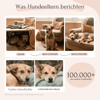 Frau hält einen glücklichen Hund im Freien, mit Text, der hohe Akzeptanz, gute Verdaulichkeit und zufriedene Hundebesitzer auf Deutsch hervorhebt.