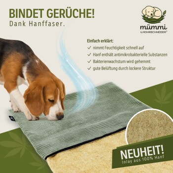 Beagle schnüffelt an einer grünen Haustiermatte mit Hanffaser-Einlage, Text hebt Geruchskontrolle und antibakterielle Hanfeigenschaften hervor.