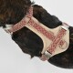 Nahaufnahme eines beigen Haustiergeschirrs aus atmungsaktivem Mesh-Material, das seine weichen Kanten und den verstellbaren Riemen zeigt.