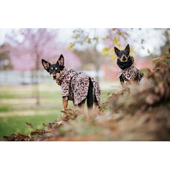 Zwei Hunde, die passende Regenmäntel im Leopardenmuster tragen, posieren im Freien, umgeben von Grün und blühenden Bäumen.