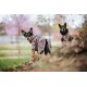Visibility Raincoat Lite leo 65 cm