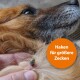 Nahaufnahme des Fells eines Haustiers, das mehrere Zecken zeigt, mit einem orangefarbenen Kreis, der "Pinzette für kleinere Zecken" beschriftet ist.