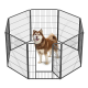 Ein brauner und weißer Hund steht in einem schwarzen Metall-Übungsgehege mit acht Paneelen und einer Tür, vor einem weißen Hintergrund.