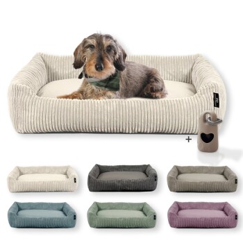 Hundebett mit Gratis-Beigabe, waschbar, robuster Breit-Cordstoff beige