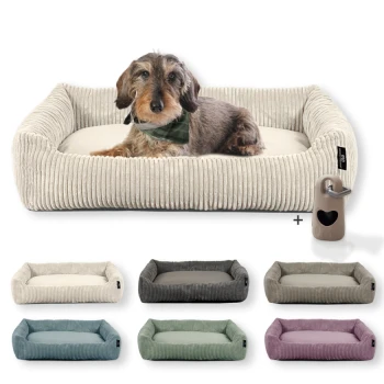 Hundebett mit Gratis-Beigabe, waschbar, robuster Breit-Cordstoff beige Ein plüschiges, geripptes Hundebett mit einem Dackel in einem grünen Halstuch, umgeben von Farboptionen: beige, grau, türkis, grün und lila.