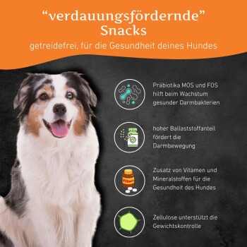 Getreidefreie Snacks für die Verdauungsgesundheit von Hunden mit Präbiotika, hohem Ballaststoffgehalt, Vitaminen und Mineralstoffen.