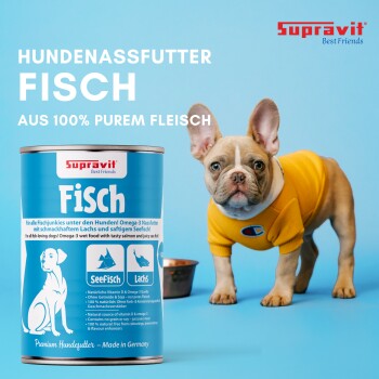 Hund mit schiefem Kopf neben einer Dose Fisch-Hundefutter, das natürliche Zutaten, Vitamine und eine getreidefreie Formel zeigt.