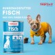 Hund mit schiefem Kopf neben einer Dose Fisch-Hundefutter, das natürliche Zutaten, Vitamine und eine getreidefreie Formel zeigt.