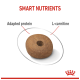 Brown pet food kibble with a hole in the center, labeled with "Smart Nutrients," highlighting "Adapted protein" and "L-carnitine."