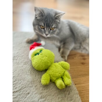Graue Katze liegt auf einem Teppich neben einem grünen, plüschigen Grinch-Spielzeug mit rotem Weihnachtsmannhut.