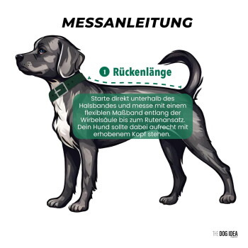 Schwarz-brauner Hund mit leuchtend orangefarbenem Fleece-Jacke läuft neben einer Person in Jeans und Turnschuhen im Freien.