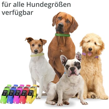 Vier Hunde verschiedener Rassen mit bunten Halsbändern, mit einem Textüberlagerung, der besagt "für alle Hundgrößen verfügbar."