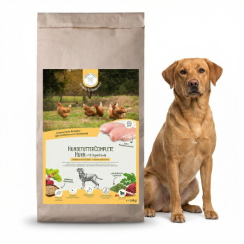 "Green Pawly" Hundefutterverpackung mit der Aufschrift "Hundetrockenfutter" und "Plus 10 Superfoods," betont natürliche Zutaten und gesundheitliche Vorteile.