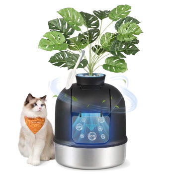 Ragdoll-Katze mit orangefarbenem Halstuch, mit der Aufschrift Feardrea, neben einem schwarzen ionischen Trinkbrunnen mit Pflanze und sichtbaren Ionen-Symbolen.
