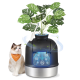 Ragdoll-Katze mit orangefarbenem Halstuch, mit der Aufschrift Feardrea, neben einem schwarzen ionischen Trinkbrunnen mit Pflanze und sichtbaren Ionen-Symbolen.