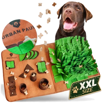 Ein glücklicher brauner Labrador schaut auf eine grüne interaktive Haustiermatte mit der Aufschrift "URBAN PAUL," gefüllt mit versteckten Leckereien und Spielzeugen.