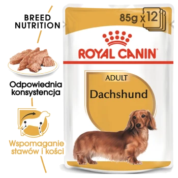 Opakowanie karmy dla dorosłych jamników Royal Canin, z zdjęciem jamnika, z tekstem podkreślającym żywienie rasy i wsparcie stawów.