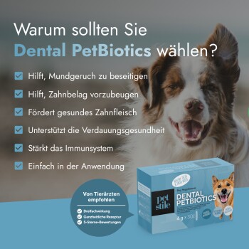 Lächender Hund neben Dental PetBiotics Box mit deutschem Text, der Vorteile wie frischen Atem und Immununterstützung auflistet.