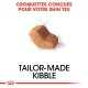 Croquettes conçues pour votre Shih Tzu, présentant un morceau de croquette avec le texte "CROQUETTE SUR MESURE" en dessous.