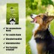 Hundefutterbeutel mit der Aufschrift "Essen KLEINE Insekten für aktive Haustiere" mit einem glücklichen Hund auf einem Feld; behauptet hypoallergen, komplett, vom Tierarzt entwickelt.