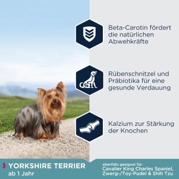 EUKANUBA Trockenfutter Hund Breed Specific Yorkshire Terrier Adult 2 kg FRESSNAPF