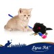 Beiges Kätzchen mit einem blauen Spielstab und einer schwarzen Plüschmaus mit Glöckchen; 'Lyra Pet'-Logo unten.