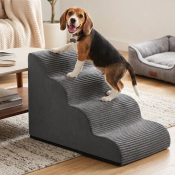 Beagle-Welpe steht auf grauen, gerippten Haustiertreppen im Wohnzimmer; weiches Hundebett und Couchtisch sichtbar.