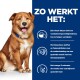 Ein brauner Hund sitzt vor einem blauen Hintergrund mit Text über ein Protein, das bei Nahrungsmittelallergien hilft und die Immunität fördert.