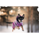 Ein Hund, der einen lebhaft pink und schwarz gemusterten Mantel trägt, springt durch eine verschneite Landschaft, umgeben von verschwommenen Bäumen.