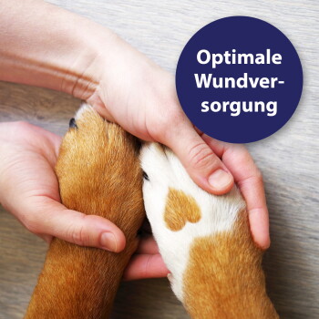 Hände halten zwei Hundenpfoten, eine weiß mit herzförmigem braunen Fleck; lila Badge: "Optimale Wundversorgung".